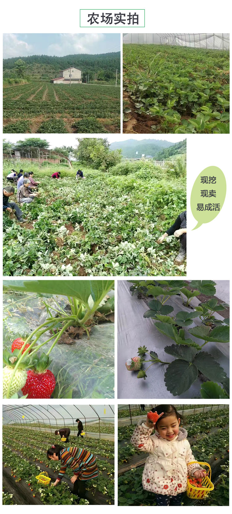 微信图片_20190716154050_04.jpg