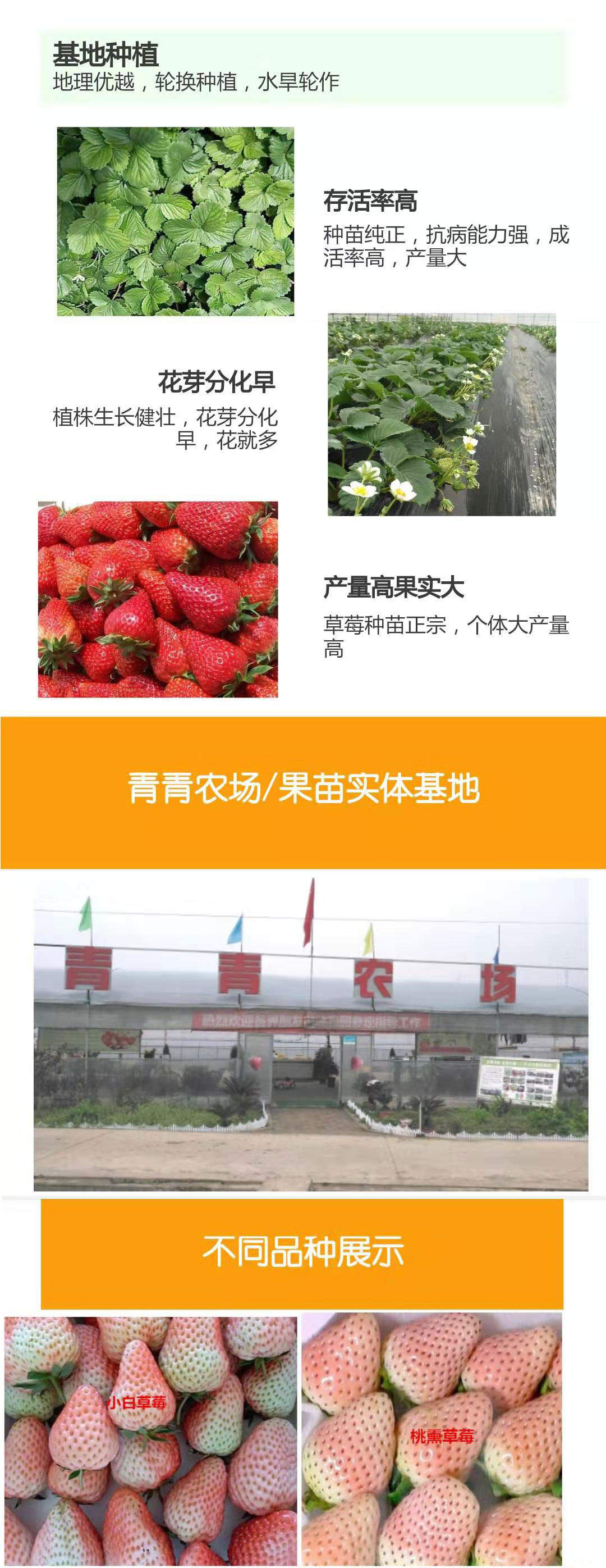 微信图片_20190716154050_02.jpg