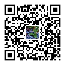用手机浏览器扫描浏览效果