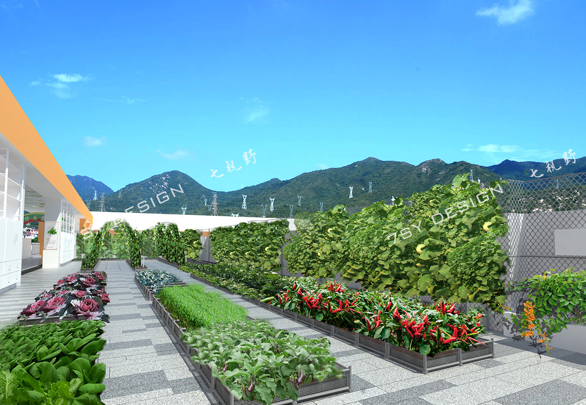 校园文化设计--屋顶农场