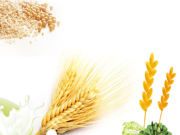 中国农业未来发展五大趋势