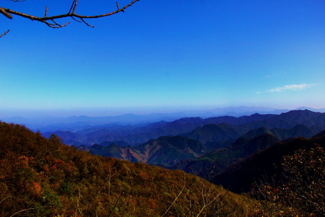 2016年11月11日,石柱山风景区工作人员,在当地村民的带领下,手持砍刀,披荆斩棘,往返历时约6个小时,登上了宁国高峰--羊豪山!此山海拔900多米,位于石柱山风景区停车场北侧,属于天目山山脉.上午九点左右,在村民家里换上衣服,带上砍刀干粮和水,顺手在其屋檐下,捎了几个红薯,开始登山之旅 一路穿过山核桃林,此时,山核桃已采摘完毕,落地的树叶铺满山坡,黄里透红,树上残留的叶子一片金黄,中间笔直的树干密密麻麻,营造出一幅唯美的画卷 上山约两个小时,就开始披荆斩棘,没有了山道,由于山林多年无人进入,里面的