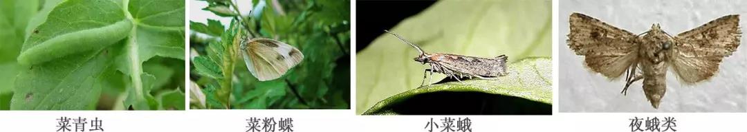 20191230161613_16466.jpg 微信图片_20191230161248.jpg