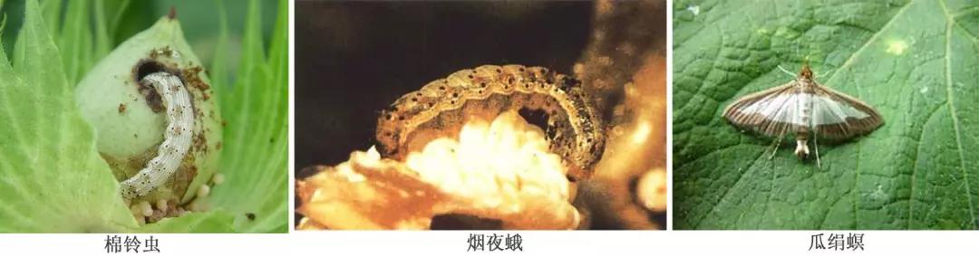 20191230162954_35155.jpg 微信图片_20191230162624.jpg