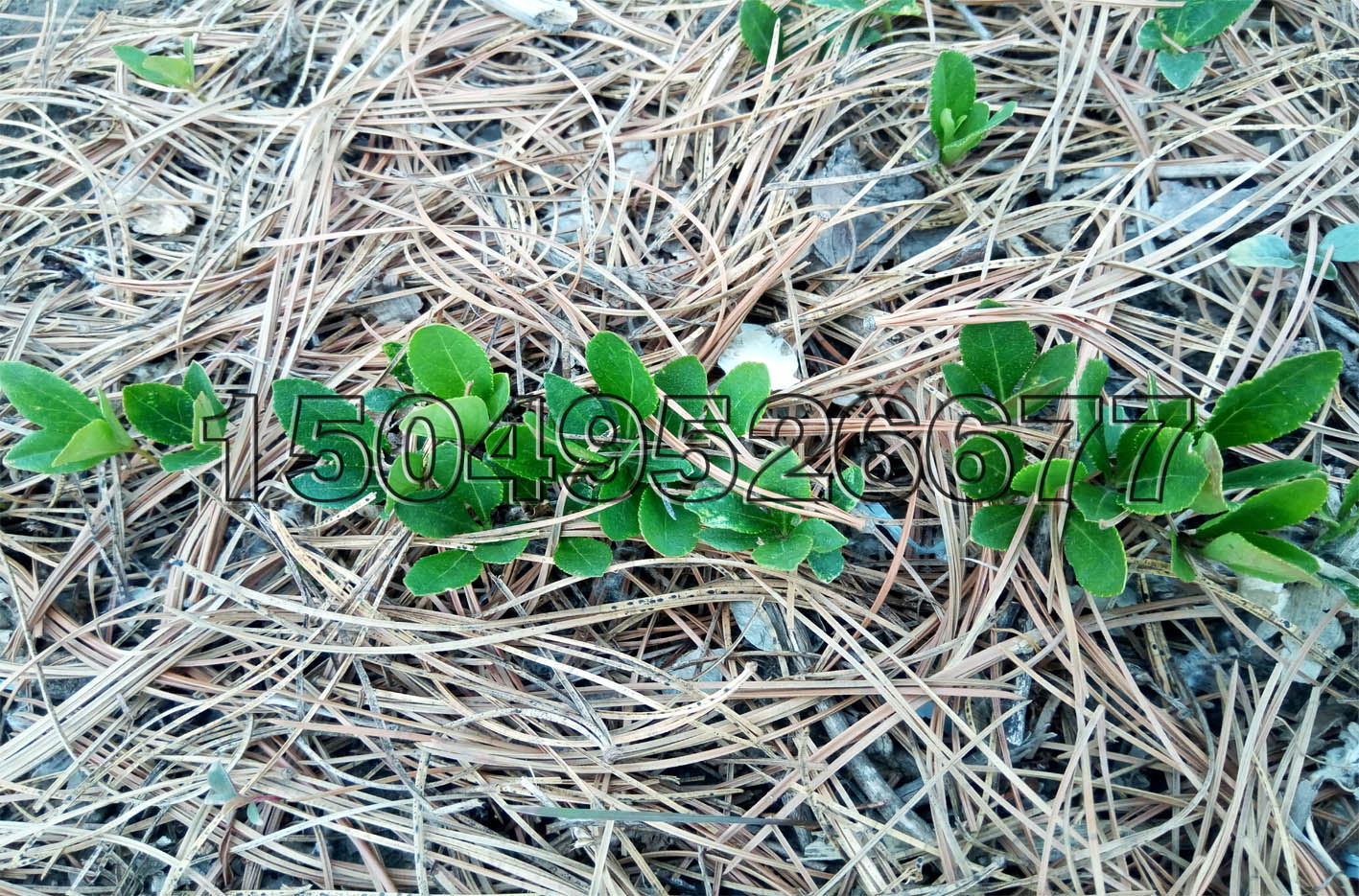 20180308104340_61971.jpg