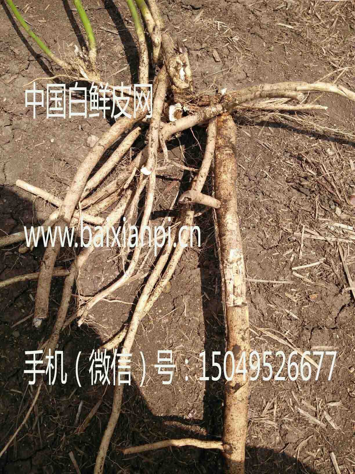 20161118194523_28263.jpg