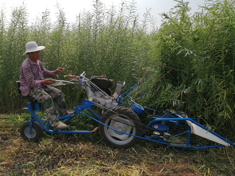 Linyi Oula once again purchased an Italian wicker reaper binder