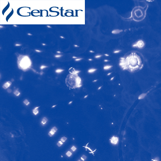 Cloud Zoom small image