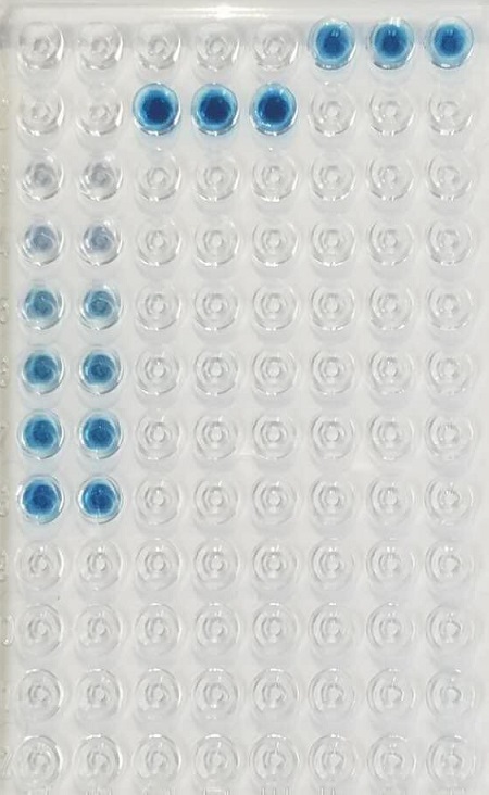 LAT 图片.jpg
