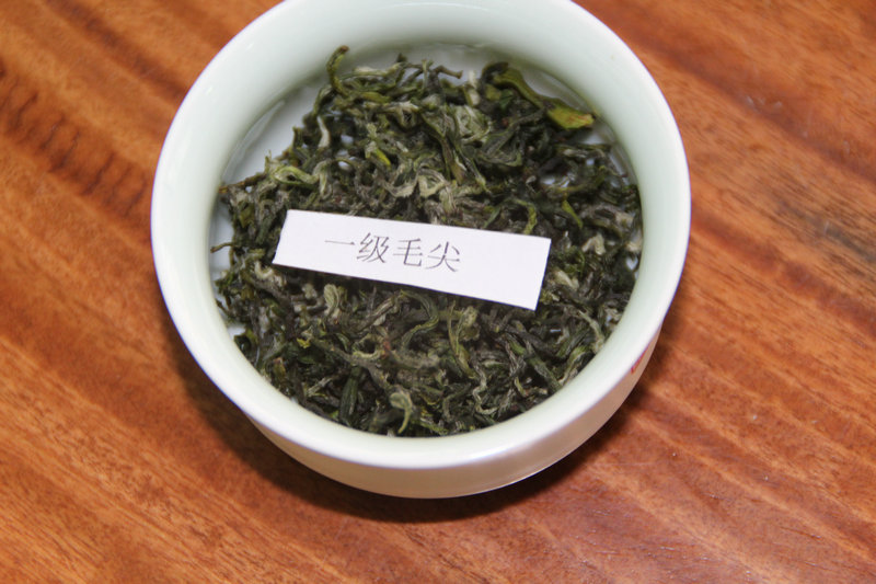 八仙云雾一级毛尖一芽一叶清明茶 500/斤