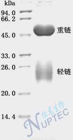 应用1.jpg
