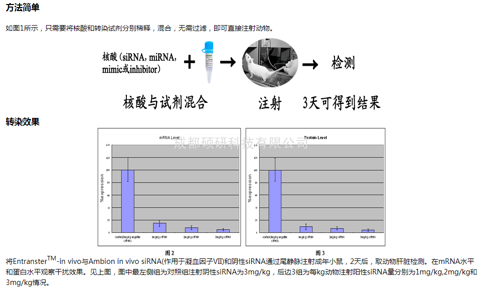 体内1.png