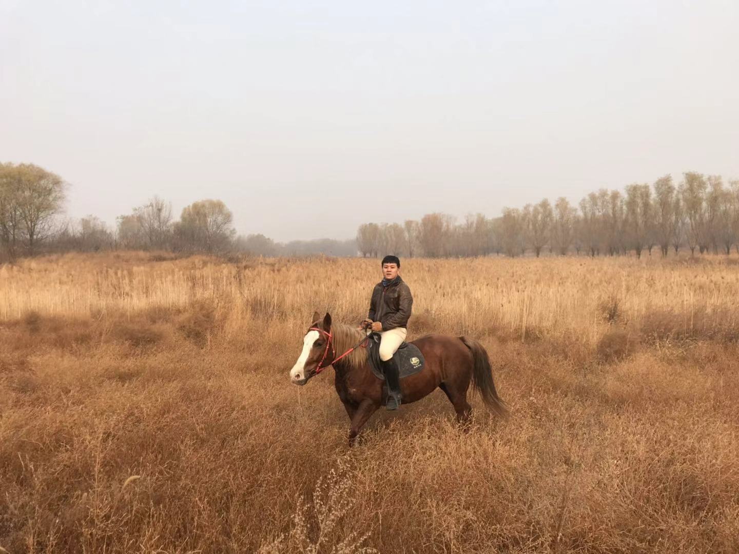 王巍