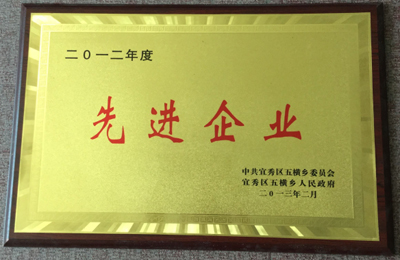 2012年度 先进企业