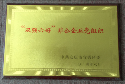 2014年度 双强六好