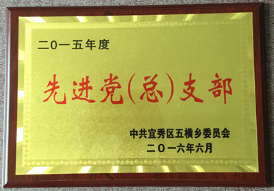 2015年度 先进党支部