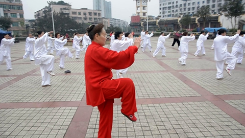 唐维秀老师引领太极拳