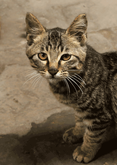 王铭辉摄影作品2