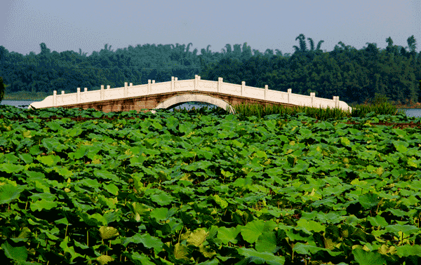 胡国容摄影作品1