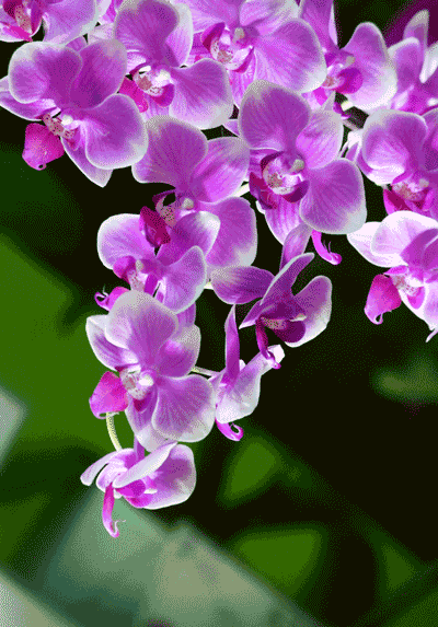 陈晓华摄影作品2