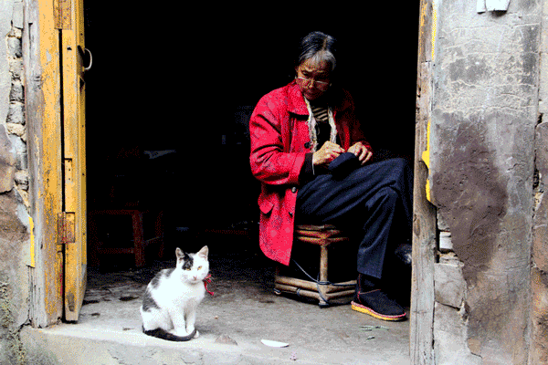 陶定世摄影作品1