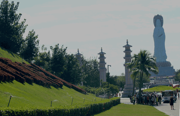 陈淑琴摄影作品2