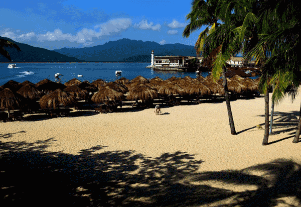 王安彬摄影作品1