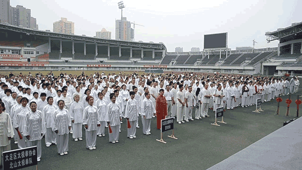 太极拳协会揭牌仪式2