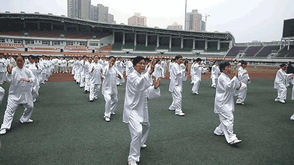太极拳协会揭牌仪式3