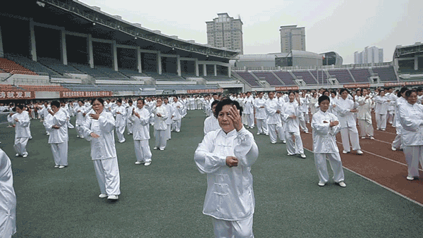 太极拳协会揭牌仪式4