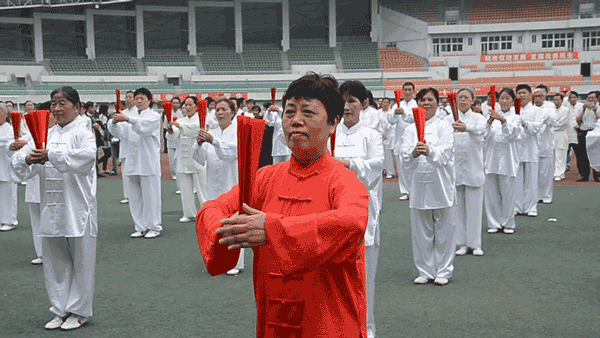 太极拳协会揭牌仪式5