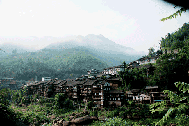 陈淑琴摄影作品1