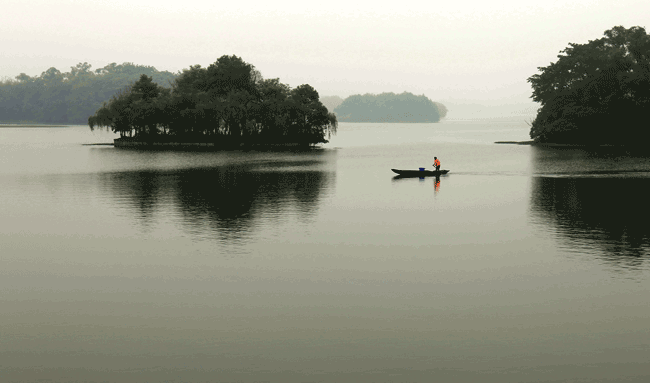 陈晓华《为了美、构成美》