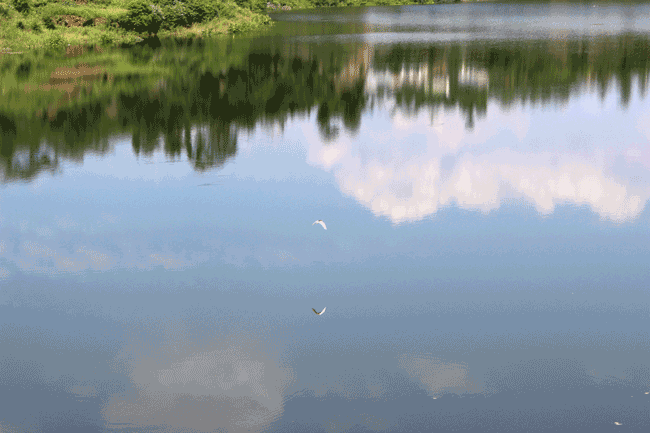 陈淑琴摄影作品2