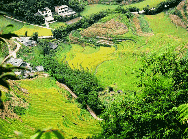 王安彬摄影作品1