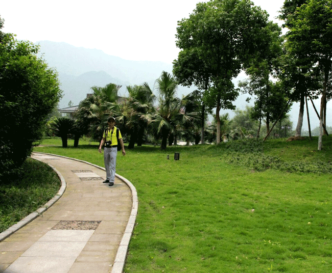 尹国林使用作品2