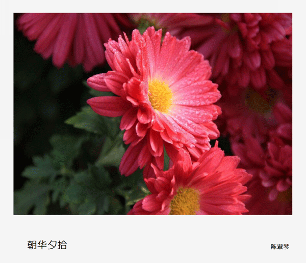 2016下期   陈淑琴学员作品