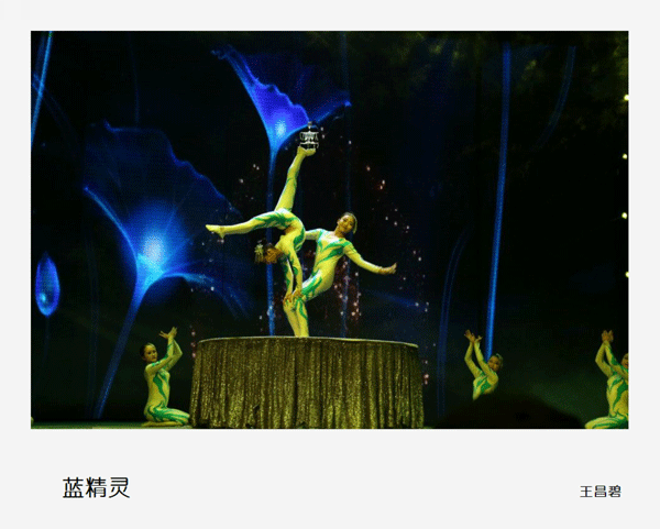 2016下期王昌碧学员作品