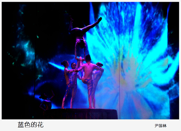 2016下期尹国林学员作品