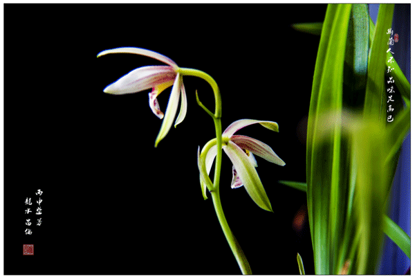 2016下期李昌伦学员作品