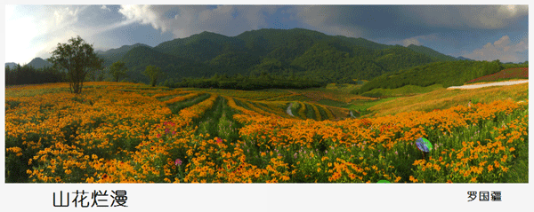 2016下期罗国疆学员作品