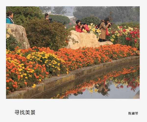 2016下期陈淑琴学员作品