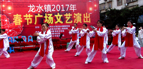 2017庆新春老年大学广场文艺演出   太极班师生《太极拳》表演