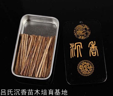奇楠沉香油脂丰富,几乎全是油脂 奇楠沉香油脂丰富,几乎全是油脂