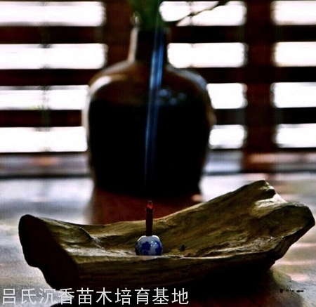 沉香线香 沉香线香