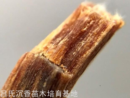 沉香木烟条烟片 沉香木烟条烟片