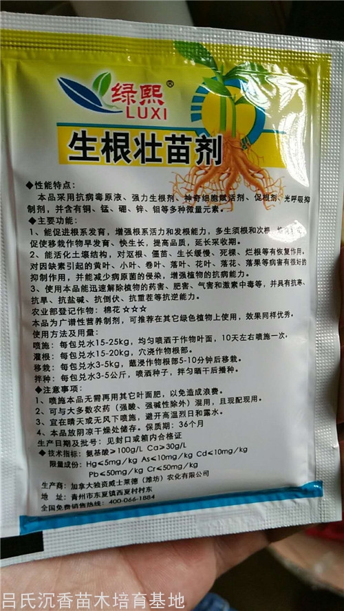 关于沉香树生根壮苗剂的使用方法