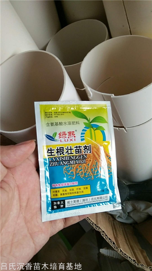 壮苗生根剂