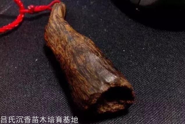 沉香摆件 沉香摆件