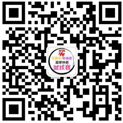 沉香订购电话 沉香订购电话